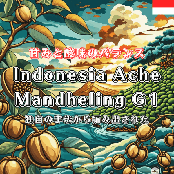 インドネシア アチェ マンデリン G1  / Indonesia Ache Mandheling G1