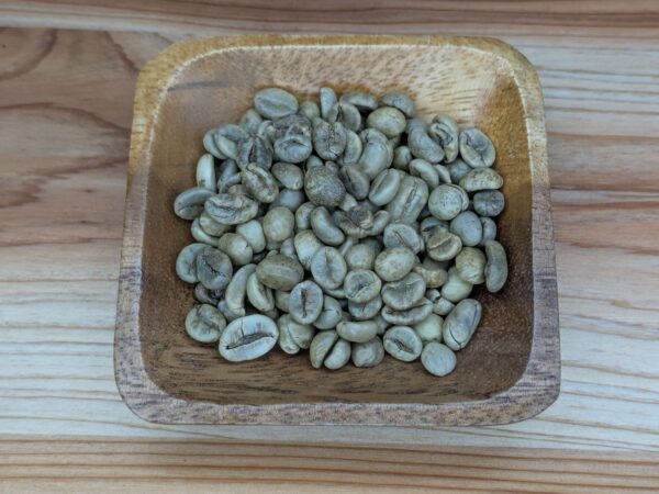 Robusta G1